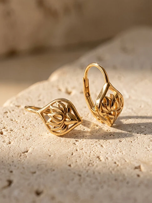 Brilio Silver Gražūs auksu dengti kabantys auskarai EA700Y
