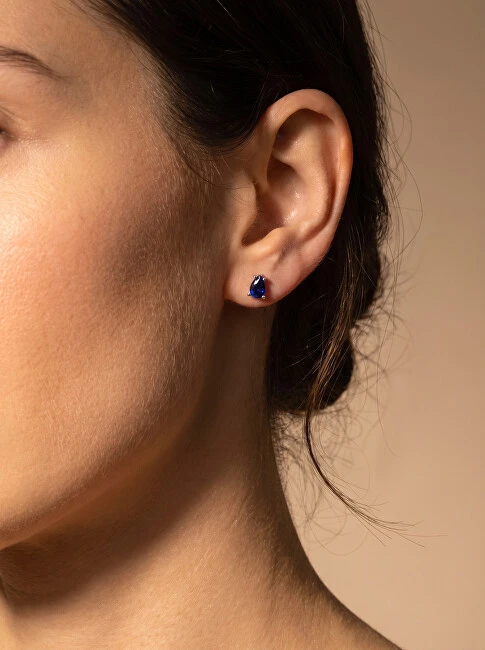 Brilio Silver Brilio Sidabrinis Matching sidabrinis earrings with mėlynas zircons EA860WB