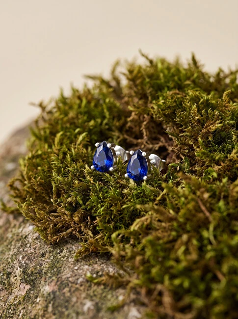 Brilio Silver Brilio Sidabrinis Matching sidabrinis earrings with mėlynas zircons EA860WB