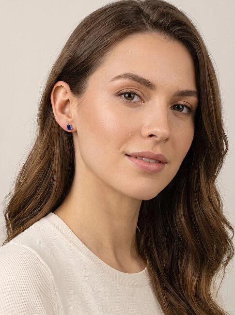 Brilio Silver Brilio Sidabrinis Matching sidabrinis earrings with mėlynas zircons EA860WB
