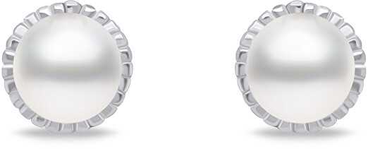 Brilio Silver Brilio Sidabrinis Minimalist sidabrinis auskarai su tikrais perlais EA620W