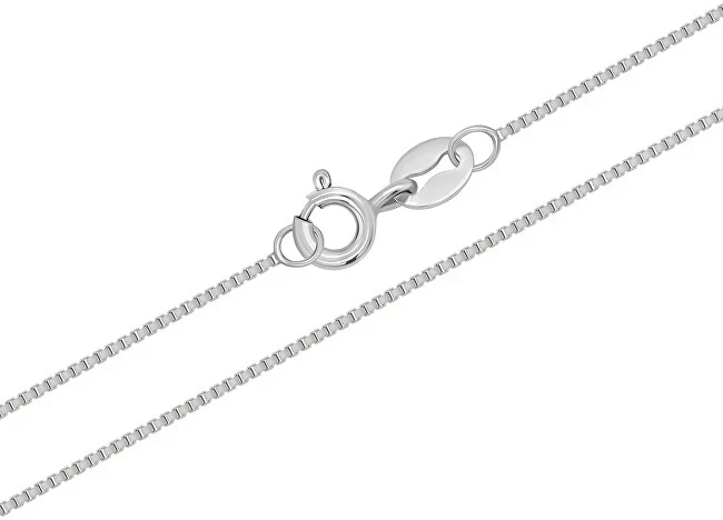 Brilio Silver Sidabrinis chain Venezia CN010W