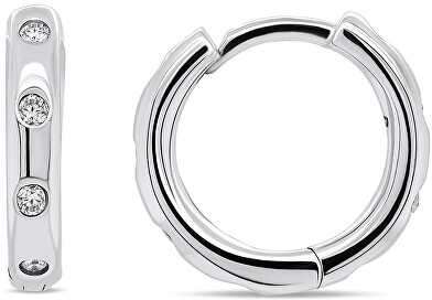 Brilio Silver Žalvario sidabriniai auskarai „Timeless round" EA150W