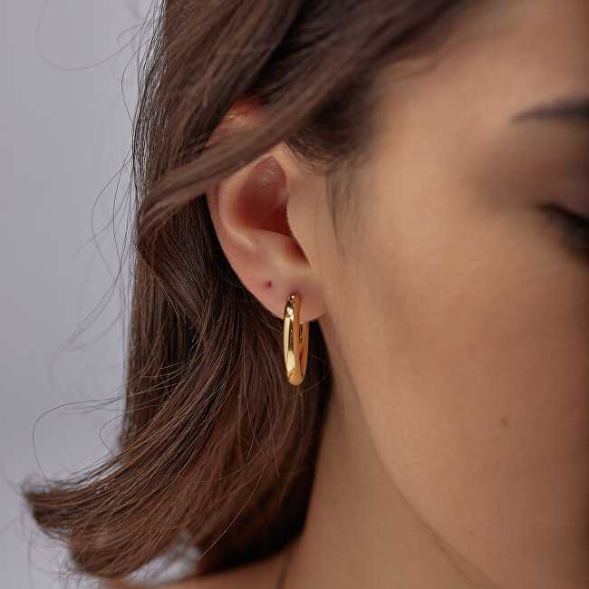 Brosway Timeless round earrings in auksinis plated steel Aura BAU23