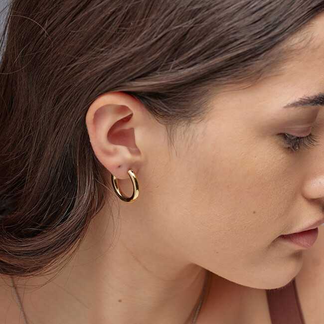 Brosway Timeless round earrings in auksinis plated steel Aura BAU23