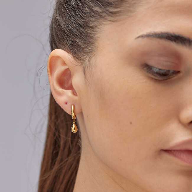Brosway Paauksuoti žiediniai auskarai su Tear Drop Perfect pakabukais BPC45