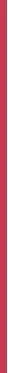 „Catrice Filler Supreme“ lūpų blizgis 040 – „Drama Certified“ 3,5 ml