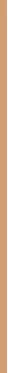 Catrice Skin Like Base De Maquillaje Luminosa 032w, 30 ml