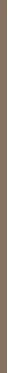 Chanel Stylo Sourcils Lápiz De Cejas Alta Precisión 152-Blond Doré 0,, 65 g