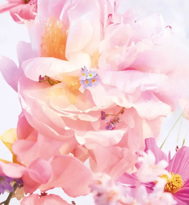 Kvepalai moterims Christian Dior Miss Dior Blooming Bouquet (EDT, 50 ml)