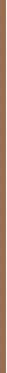 „Collistar Twist Velvet Bronzer Stick“ bronzantai, bronzantai 02, 5 g.