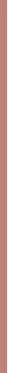 Collistar Lip gloss for volume Puro Lūpų blizgis Plump 4.5 ml