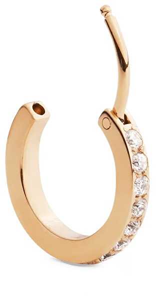 Daniel Wellington Vienvietis putojantis auskaras su kristalais DW00400871