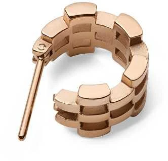 Daniel Wellington Stilingi bronziniai auskarai su 5-Link DW00400960