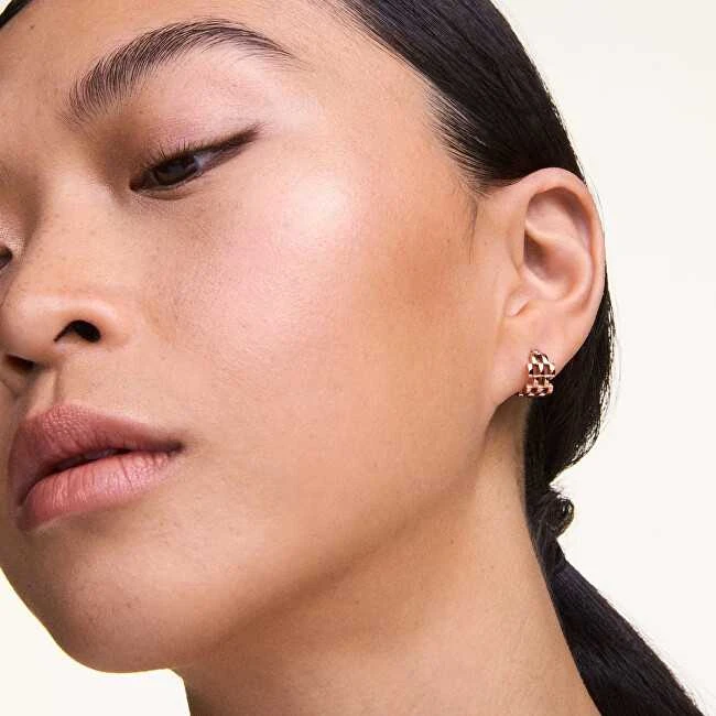 Daniel Wellington Stilingi bronziniai auskarai su 5-Link DW00400960