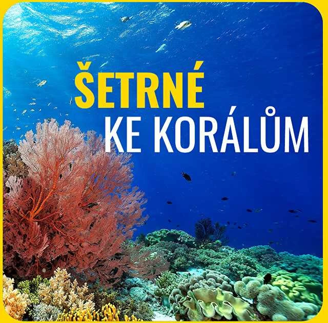 Dermacol Sun Kreminis In Stick veido priežiūros priemonė nuo saulės