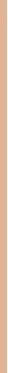 „Dior Forever Nude Bronzer Glow“ bronzinė pudra „03-Soft“, 7 g