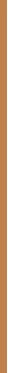 Diorskin Forever Skin Corrector 5n 1un