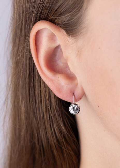Elegantiški sidabrinis auskarai su skaidriu Swarovski cirkoniu SILVEGOB70607S