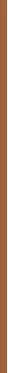Erborian CC Krema Spf30 Caramel 40ml