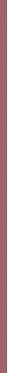 „Essence Cosmetics 8h Matte Comfort“ lūpų pieštukas, 21, 0,3 g