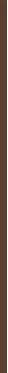 „Essence Cosmetics“ blakstienų tušas „Lash Without Limits“ rudas 05, 13 ml