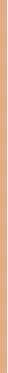 Essence SILKY BLUR long-lasting makeup base #168 30 ml