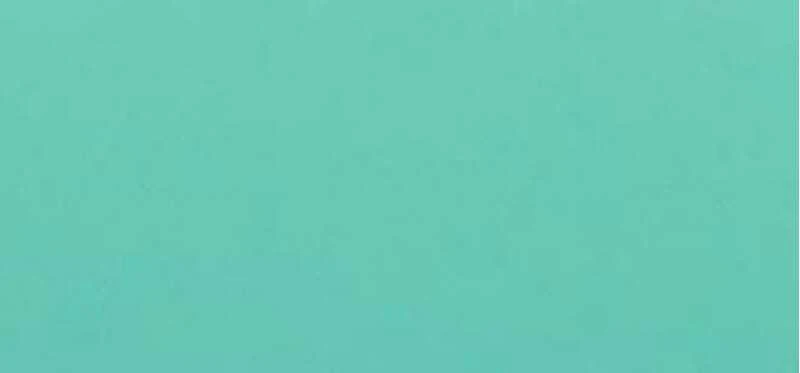 Essence Cosmetics Gel Nagų lakas Esmalte De Uñas 38-Mint to Chill, 8 ml