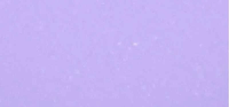 Essence Cosmetics Gel Nagų lakas Esmalte De Uñas 32-Lilac You Lots, 8 ml