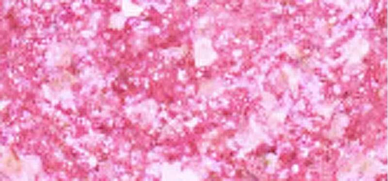 Essence Cosmetics Essence Essence gelinis nagų lakas 8ml Pinktastic (23)