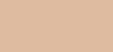 Estée Lauder Double Wear Sheer Flattery biri pudra