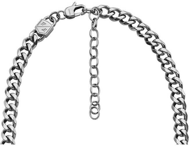 Papuošalas FOSSIL JEWELS JF04614040