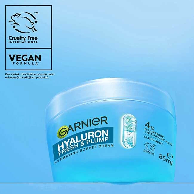 Garnier Hydrating cream Hyaluron Fresh & Plump Sorbet Kreminis 80 ml