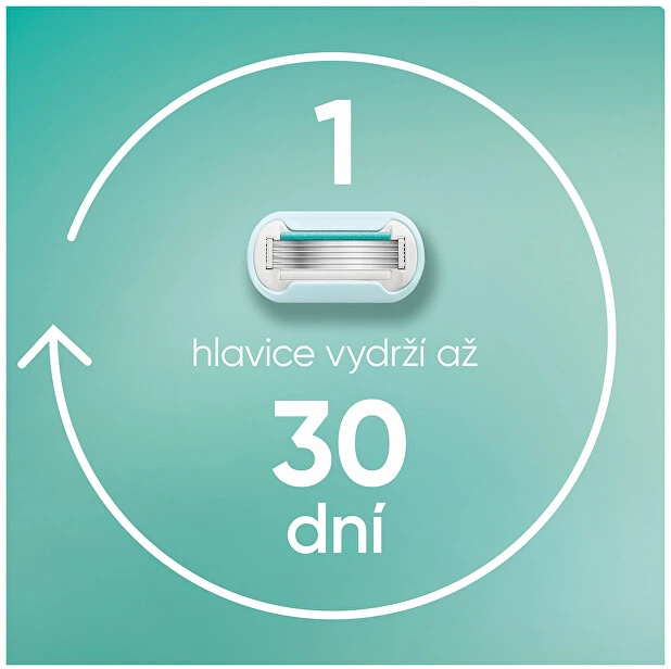 Gillette Keičiamos galvutės „Pro Smooth Sensitive“, 6 vnt. + dangtelis