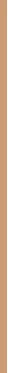 Guerlain Terracotta Le Teint Glow Fluid makiažo pagrindas 3w, 30 ml