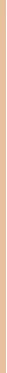 Guerlain Terracotta Le Teint Glow Fondo De Maquillaje Fluido 2n, 30 ml