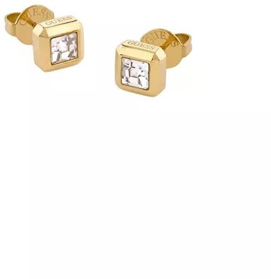 Papuošalai „Guess“ auskarai JUBE06180JWYGT/U