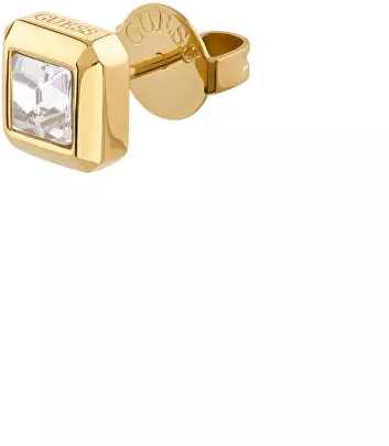 Papuošalai „Guess“ auskarai JUBE06180JWYGT/U