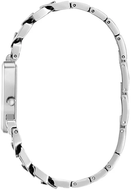 Laikrodis Watches GUESS LADIES GW0859L1