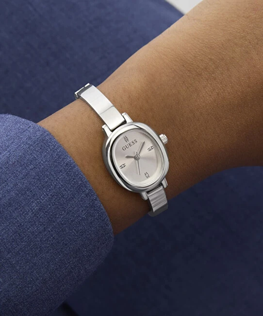 Laikrodis Watches GUESS LADIES GW0924L1