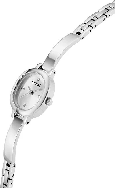 Laikrodis Watches GUESS LADIES GW0924L1