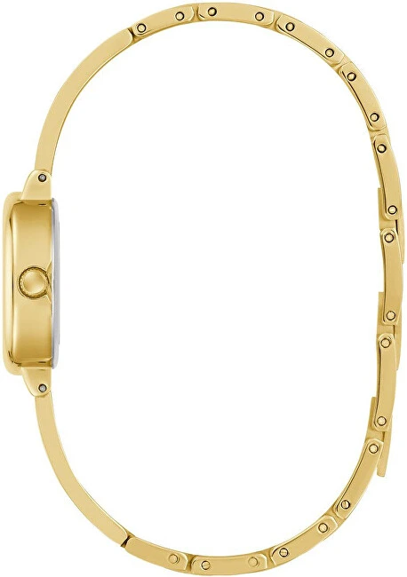 Laikrodis Watches GUESS LADIES GW0924L2