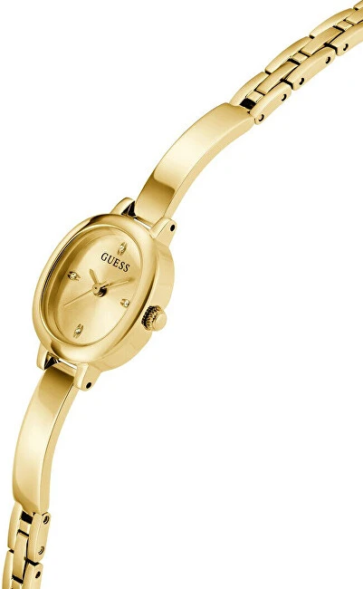 Laikrodis Watches GUESS LADIES GW0924L2