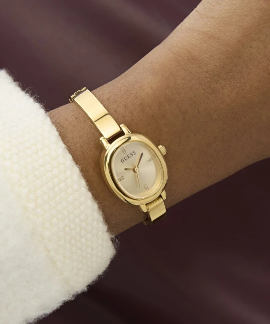 Laikrodis Watches GUESS LADIES GW0924L2