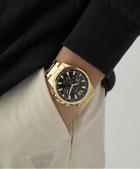 Laikrodis Watches GUESS GENTS GW0900G3
