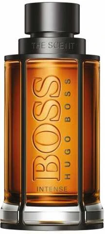 Kvepalai vyrams Hugo Boss The Scent EDT, 100 ml