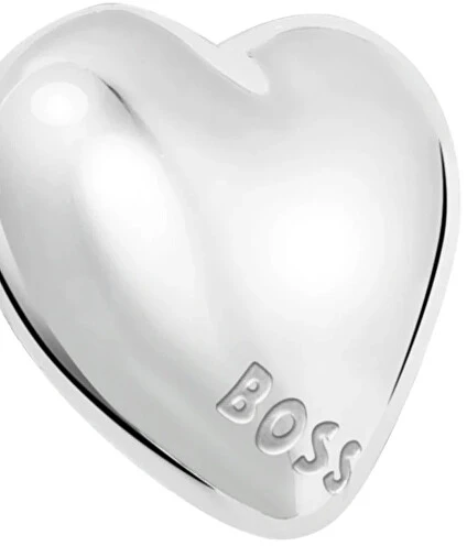 Hugo Boss Medaus Širdelės Plieniniai Auskarai 1580830