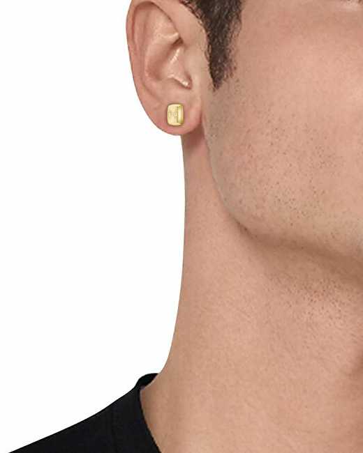 Hugo Boss Stilingi juodi auskarai Yann 1580474