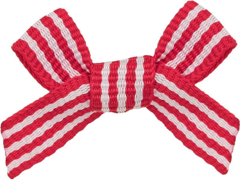 Invisibobble Myclaw Wildflower Juicy Charms Plaukų sagtukas M