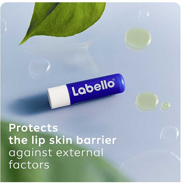 Labello Original 24h Moisture Lūpų balzamas Lūpų balzamas